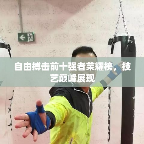 自由搏击前十强者荣耀榜，技艺巅峰展现