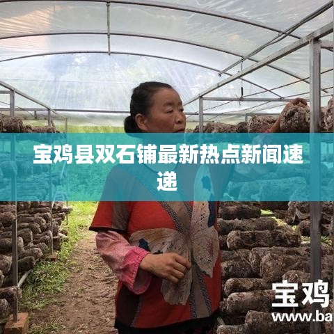 宝鸡县双石铺最新热点新闻速递