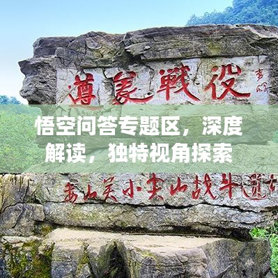 悟空问答专题区，深度解读，独特视角探索