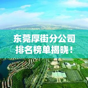 东莞厚街分公司排名榜单揭晓！