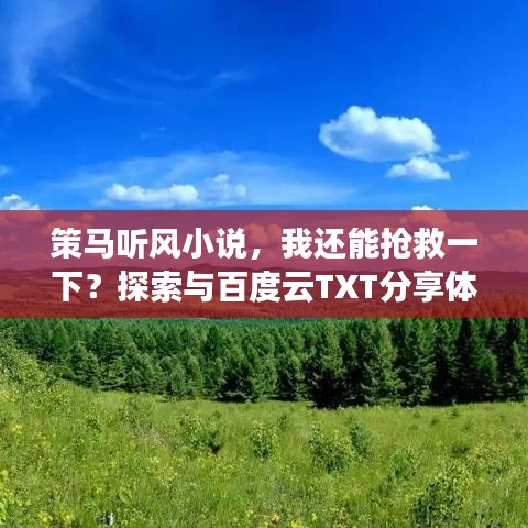 策马听风小说，我还能抢救一下？探索与百度云TXT分享体验