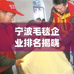 宁波毛毯企业排名揭晓，十大龙头企业榜单出炉！