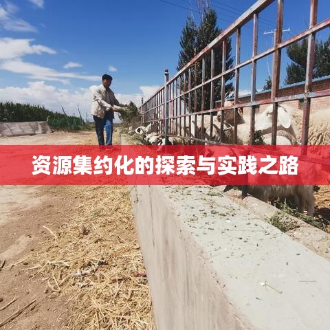 资源集约化的探索与实践之路