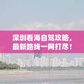 深圳看海自驾攻略，最新路线一网打尽！
