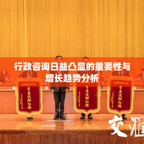 行政咨询日益凸显的重要性与增长趋势分析