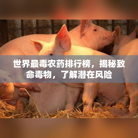 世界最毒农药排行榜，揭秘致命毒物，了解潜在风险