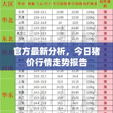 官方最新分析，今日猪价行情走势报告
