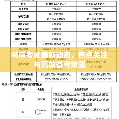 特岗考试最新动态，热点关注与高效备考策略
