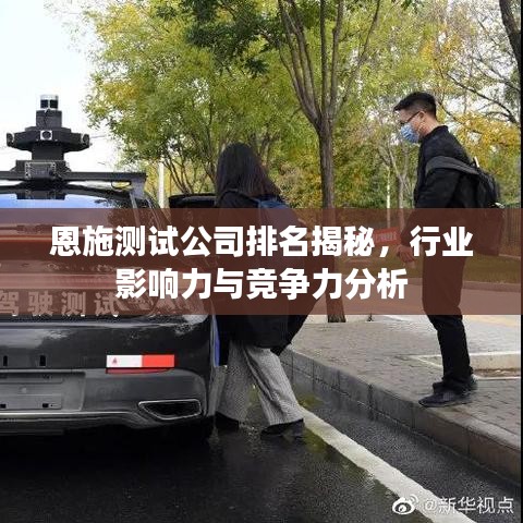 恩施测试公司排名揭秘，行业影响力与竞争力分析