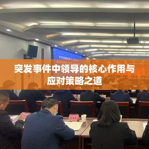 突发事件中领导的核心作用与应对策略之道