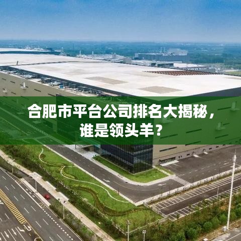 合肥市平台公司排名大揭秘，谁是领头羊？