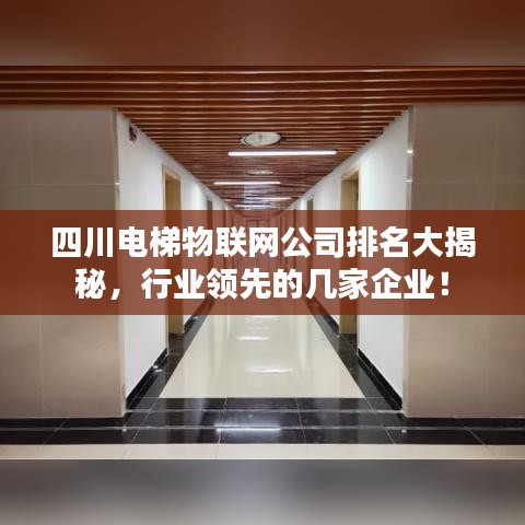 四川电梯物联网公司排名大揭秘，行业领先的几家企业！