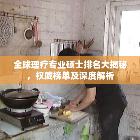 全球理疗专业硕士排名大揭秘，权威榜单及深度解析