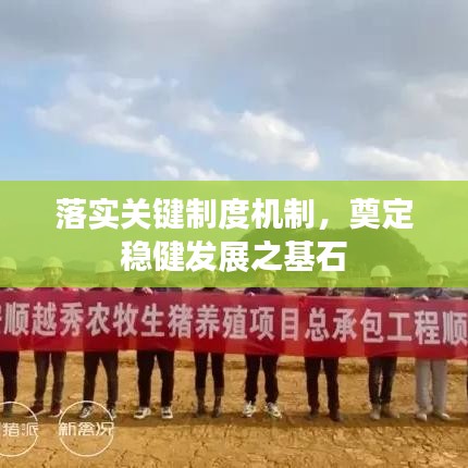 落实关键制度机制，奠定稳健发展之基石