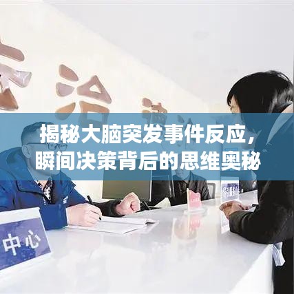 揭秘大脑突发事件反应，瞬间决策背后的思维奥秘