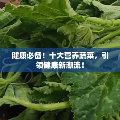 健康必备！十大营养蔬菜，引领健康新潮流！