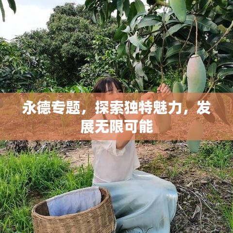 永德专题，探索独特魅力，发展无限可能