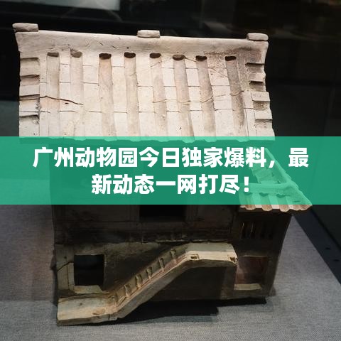 广州动物园今日独家爆料，最新动态一网打尽！