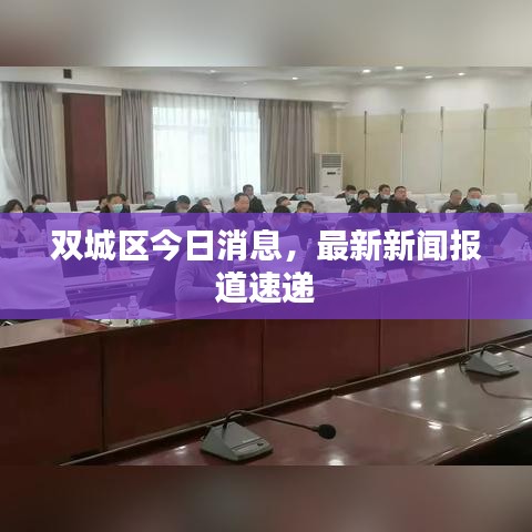 双城区今日消息，最新新闻报道速递