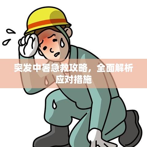 突发中暑急救攻略，全面解析应对措施