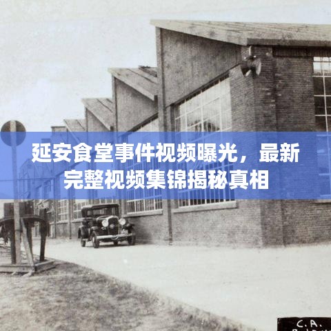 延安食堂事件视频曝光，最新完整视频集锦揭秘真相