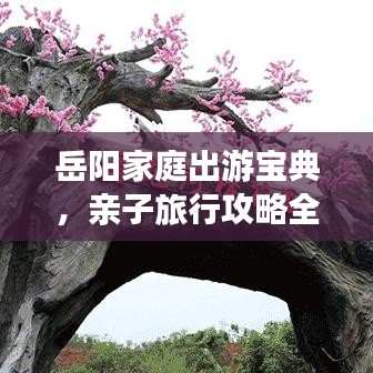 岳阳家庭出游宝典，亲子旅行攻略全攻略！