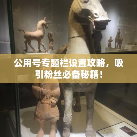 公用号专题栏设置攻略，吸引粉丝必备秘籍！