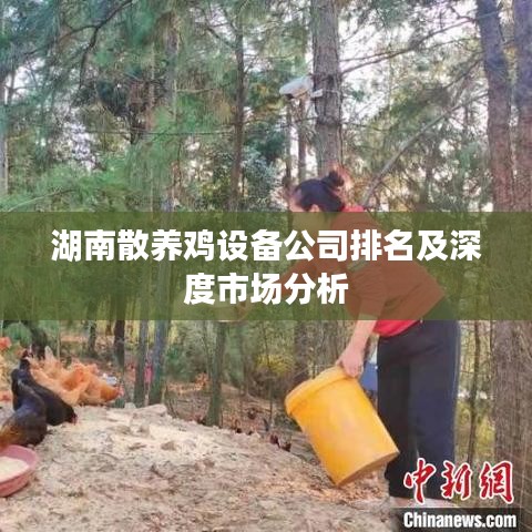 湖南散养鸡设备公司排名及深度市场分析