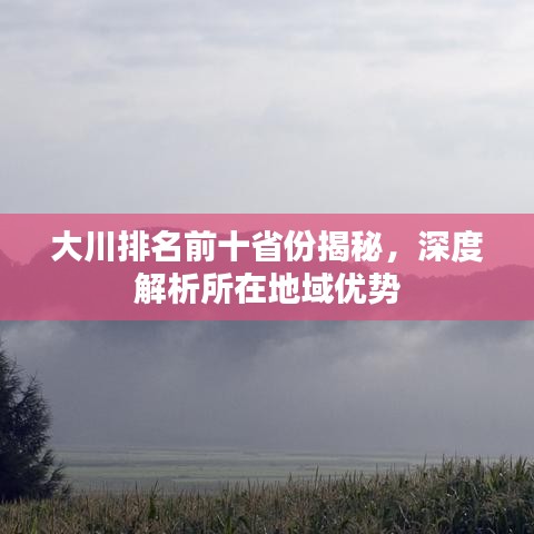 大川排名前十省份揭秘，深度解析所在地域优势