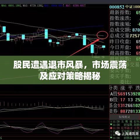 股民遭遇退市风暴，市场震荡及应对策略揭秘