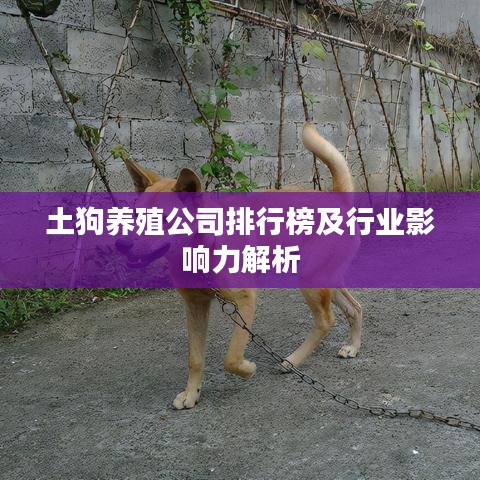 土狗养殖公司排行榜及行业影响力解析