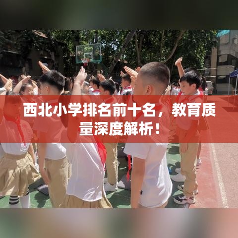 西北小学排名前十名，教育质量深度解析！