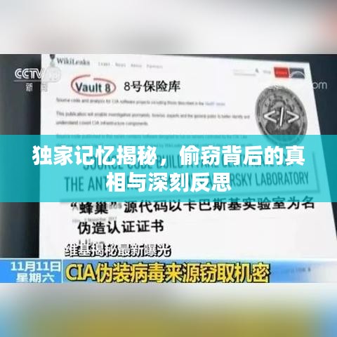 独家记忆揭秘，偷窃背后的真相与深刻反思