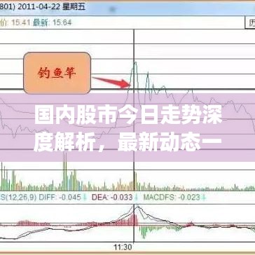 国内股市今日走势深度解析，最新动态一网打尽