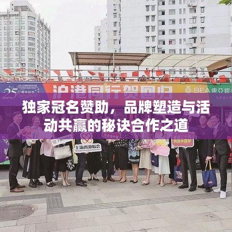 独家冠名赞助，品牌塑造与活动共赢的秘诀合作之道