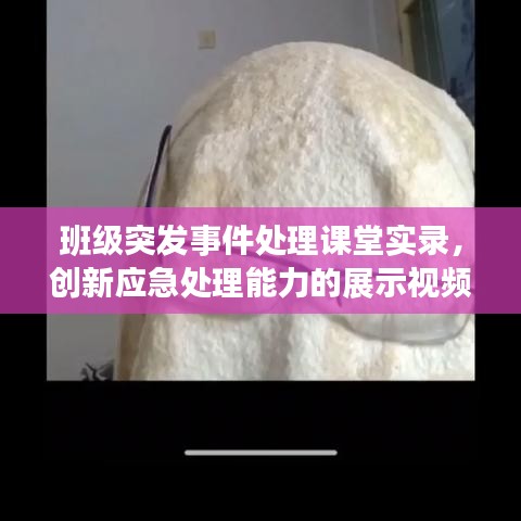 班级突发事件处理课堂实录，创新应急处理能力的展示视频