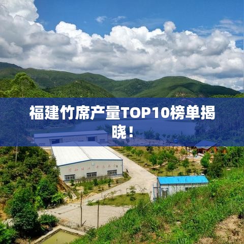 福建竹席产量TOP10榜单揭晓！