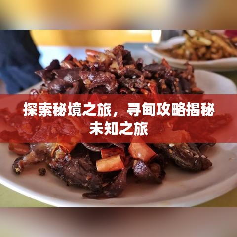 探索秘境之旅，寻甸攻略揭秘未知之旅