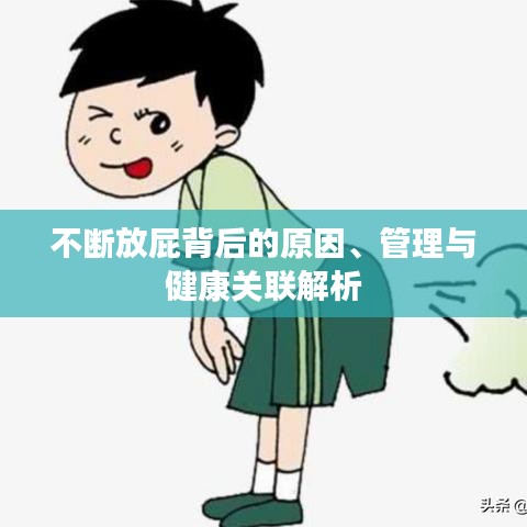 不断放屁背后的原因、管理与健康关联解析