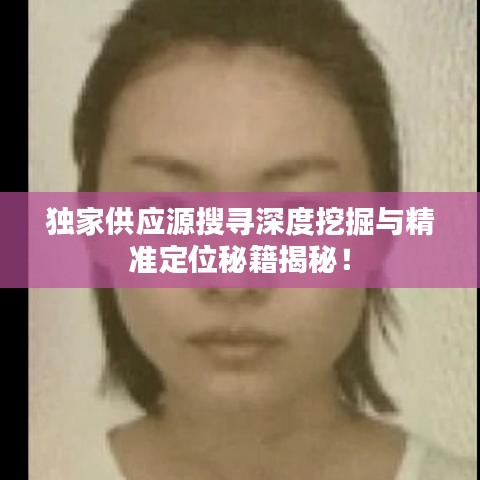 独家供应源搜寻深度挖掘与精准定位秘籍揭秘！