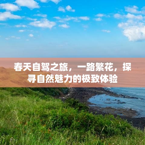 春天自驾之旅，一路繁花，探寻自然魅力的极致体验