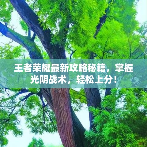 王者荣耀最新攻略秘籍，掌握光阴战术，轻松上分！