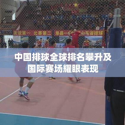 中国排球全球排名攀升及国际赛场耀眼表现