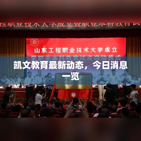 凯文教育最新动态，今日消息一览