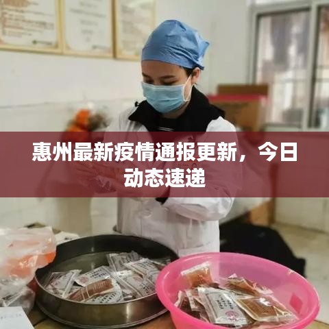 惠州最新疫情通报更新，今日动态速递