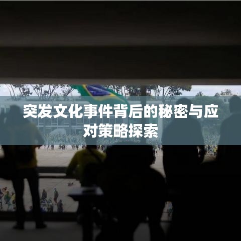突发文化事件背后的秘密与应对策略探索