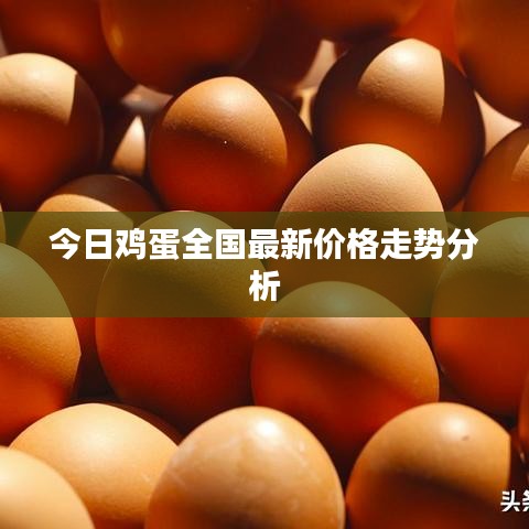 今日鸡蛋全国最新价格走势分析