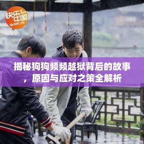 揭秘狗狗频频越狱背后的故事，原因与应对之策全解析
