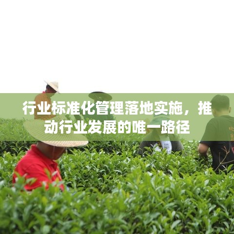 行业标准化管理落地实施，推动行业发展的唯一路径