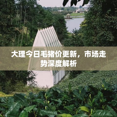 大理今日毛猪价更新，市场走势深度解析
